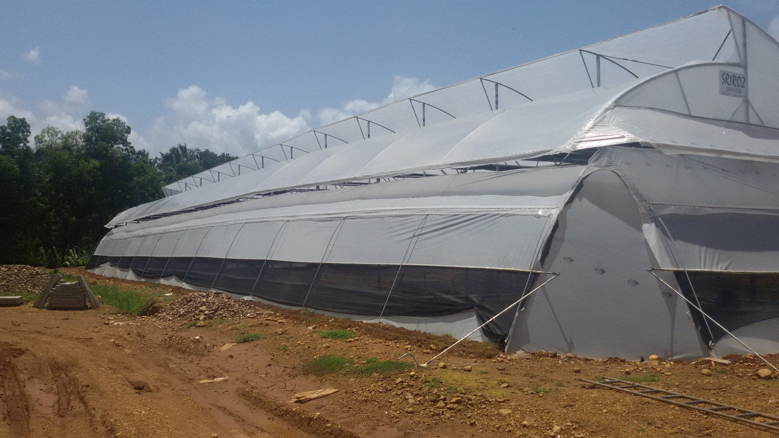 Greenhouse Project 53